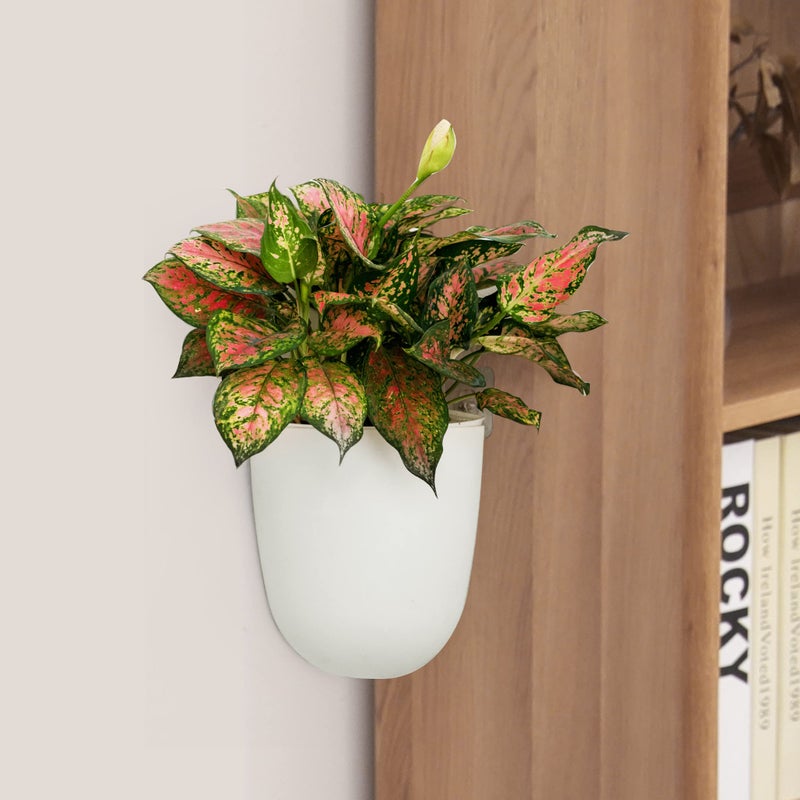 ORIMERC 2 Pack Corner Wall Mounted Hanging Planter Self Watering Triangle Plastic Flower Pot Decorative Modern Plant Vase Container Holder for Succulent Indoor Outdoor Home Office DÃ©cor White - Image 1